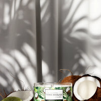 CHANDELLE - COCO LIME