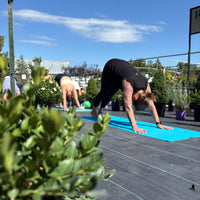 YOGA AMONG THE PLANTS