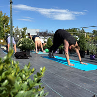YOGA AMONG THE PLANTS