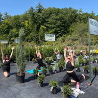 YOGA AMONG THE PLANTS