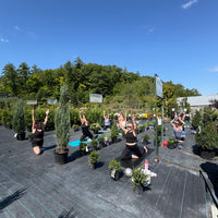 YOGA AMONG THE PLANTS