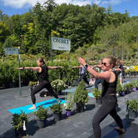 YOGA AMONG THE PLANTS