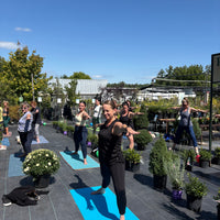 YOGA AMONG THE PLANTS