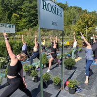 YOGA AMONG THE PLANTS