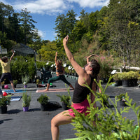 YOGA AMONG THE PLANTS