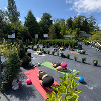 YOGA AMONG THE PLANTS