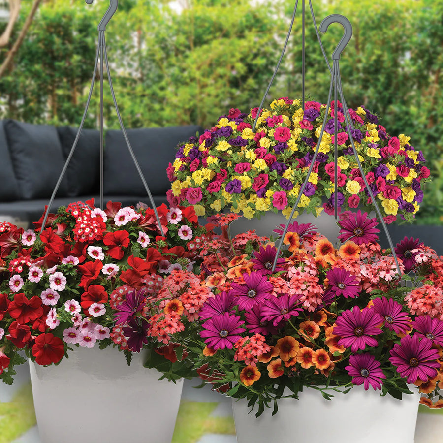 JARDINIERE FLEURS MIXTES - COLLECTIONS TRIXI ET DURABELLA
