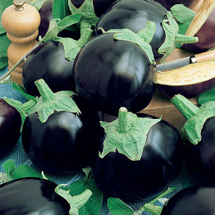 AUBERGINE POT BLACK