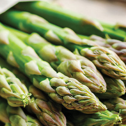 ASPERGE - 2 ANS