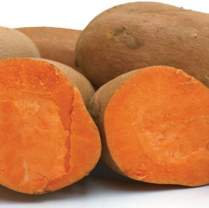 PATATE - DOUCE
