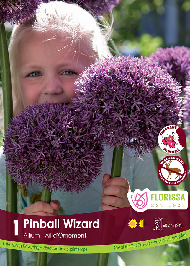 BULBES ALLIUM - PINBALL WIZARD
