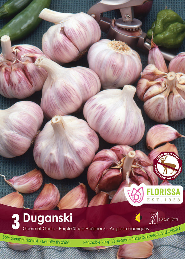 BULBES AIL - DUGANSKI