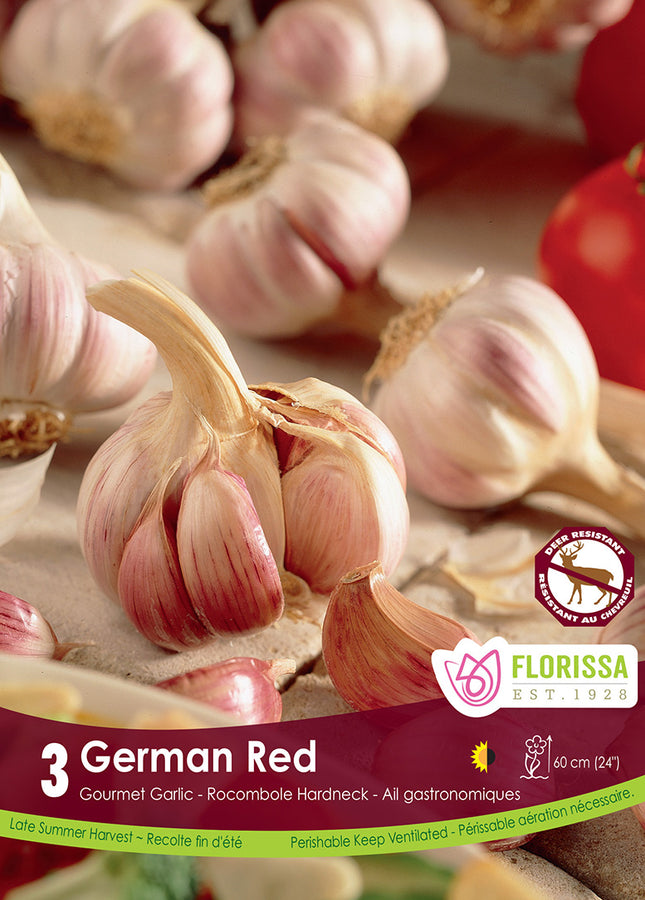 BULBES AIL - GERMAN RED