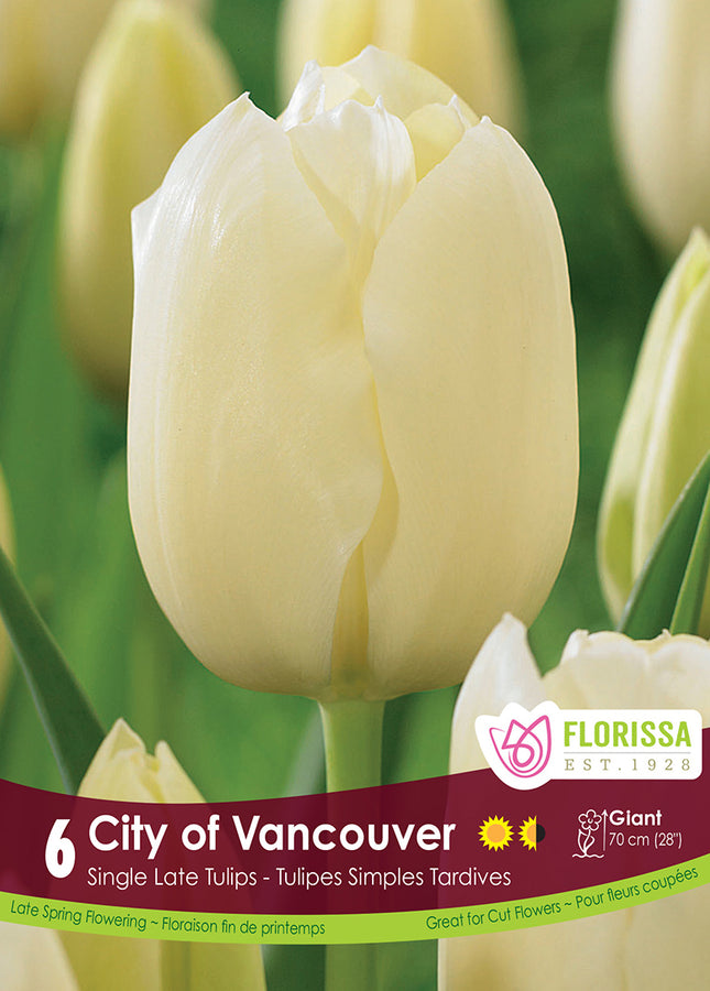 TULIP BULBS - CITY OF VANCOUVER