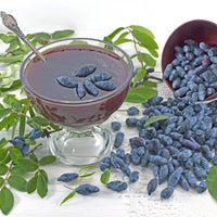 LONICERA CAERULEA - BOREAL BEAUTY (BIOLOGIQUE)
