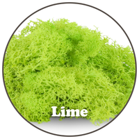 SAC DE LICHEN DES RENNES DE QUALITÉ SUPÉRIEURE