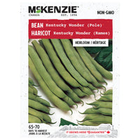 SEMENCES DE LEGUMES: HARICOT - KENTUCKY WONDER (RAME)
