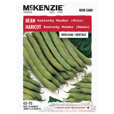 VEGETABLE SEEDS: BEAN - KENTUCKY WONDER (POLE)