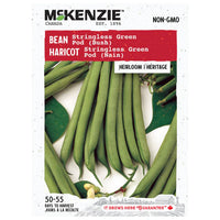 SEMENCES DE LEGUMES: HARICOT - STRINGLESS GREEN POD (NAIN)