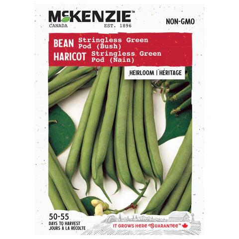 VEGETABLE SEEDS: BEAN - STRINGLESS GREEN POD (DWARF)