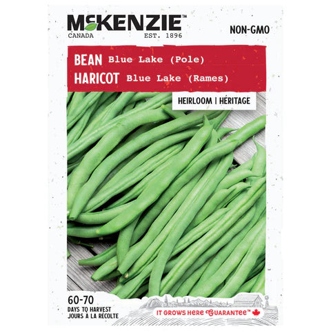 VEGETABLE SEEDS: BEAN - BLUE LAKE (POLE)