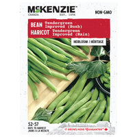 SEMENCES DE LEGUMES: HARICOT - TENDERGREEN IMPROVED (NAIN)