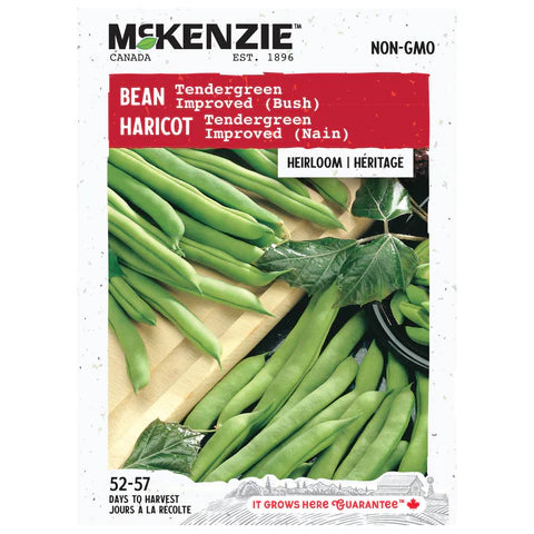 SEMENCES DE LEGUMES: HARICOT - TENDERGREEN IMPROVED (NAIN)