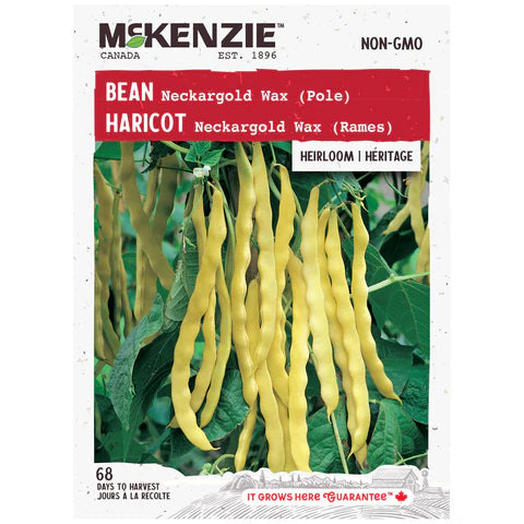 VEGETABLE SEEDS: BEAN - NECKARGOLD WAX (POLE)