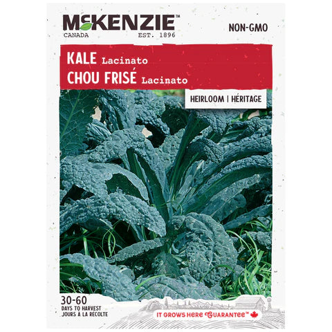 VEGETABLE SEEDS: KALE - LACINATO