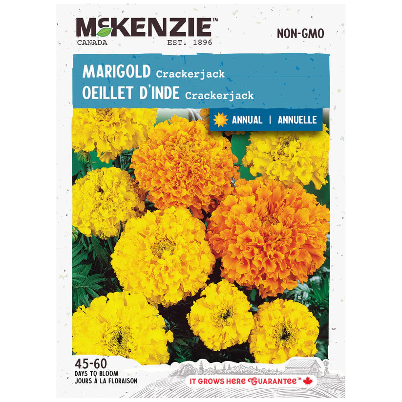 FLOWER SEEDS: MARIGOLD - CRACKERJACK