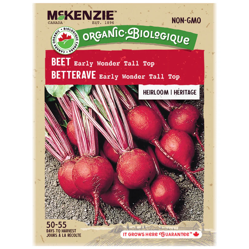 ORGANIC VEGETABLE SEEDS: BEETROOT - EARLY WONDER TALL TOP
