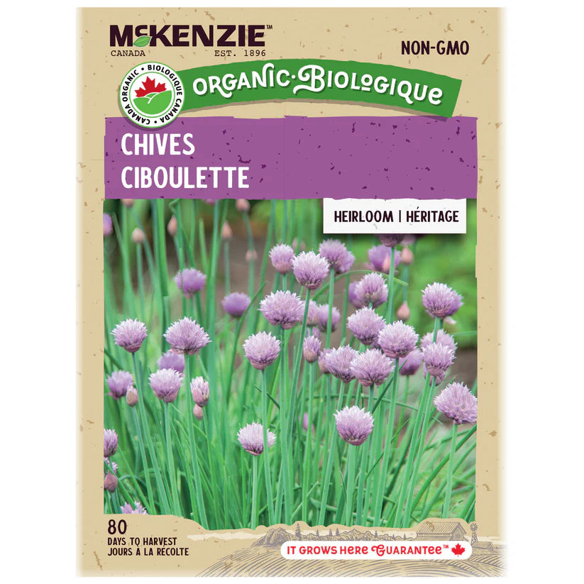 SEMENCES DE FINES HERBES BIO: CIBOULETTE