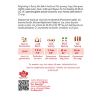 SEMENCES DE LEGUMES BIO: KALE - SIBERIAN