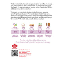 SEMENCES DE FINES HERBES BIO: BASILIC - CANNELLE
