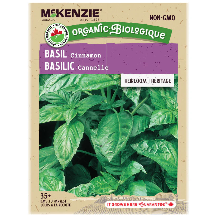 SEMENCES DE FINES HERBES BIO: BASILIC - CANNELLE