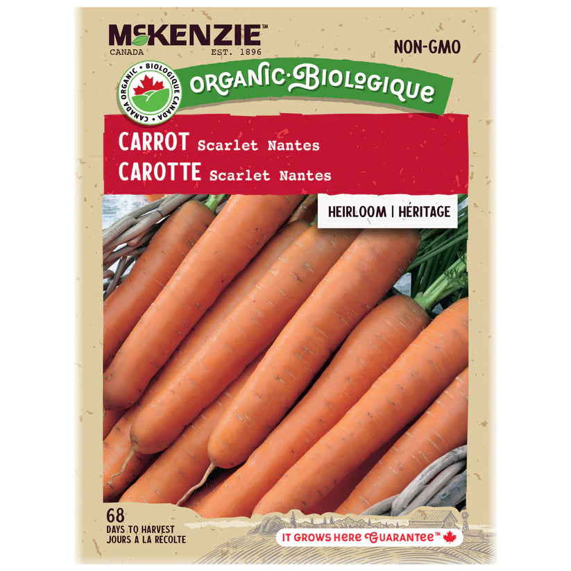 ORGANIC VEGETABLE SEEDS: CARROT - NANTES