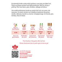 SEMENCES DE LÉGUMES BIO: CONCOMBRE - MUNCHER