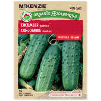 SEMENCES DE LÉGUMES BIO: CONCOMBRE SUMTER