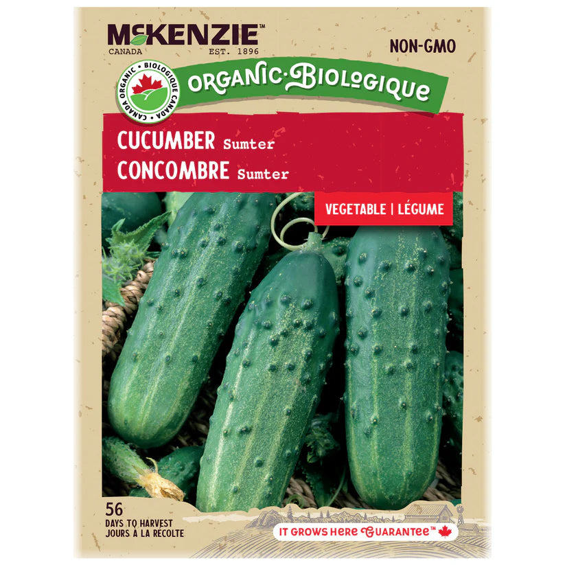 ORGANIC VEGETABLE SEEDS: CUCUMBER SUMTER