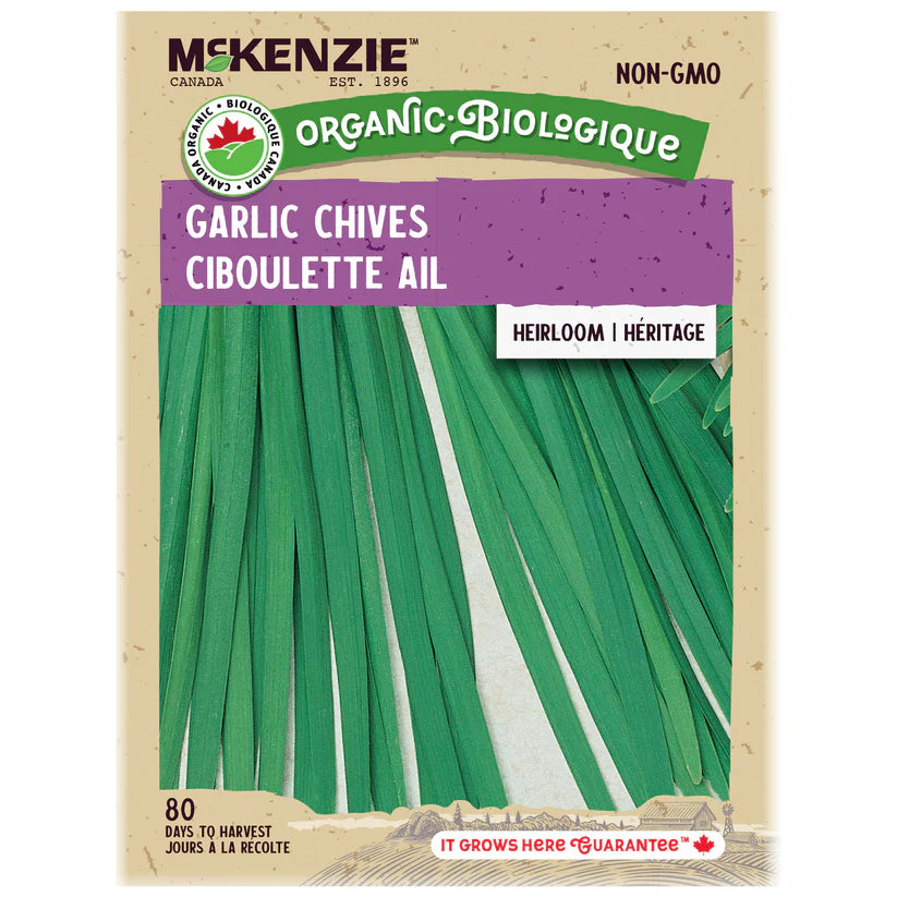 ORGANIC FINE HERB SEEDS: GARLIC CHIVES