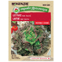 SEMENCES DE LEGUMES BIO: LAITUE - RED SAILS