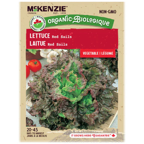 ORGANIC VEGETABLE SEEDS: LETTUCE - RED SAILS