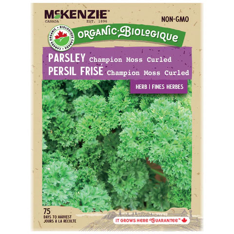 SEMENCES DE FINES HERBES BIO: PERSIL - FRISE MOSS CURLED