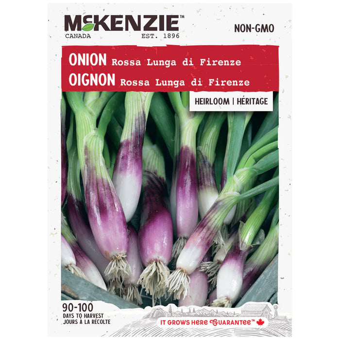 SEMENCES DE LEGUMES: OIGNON - ROSSA LUNGA DI FIRENZE