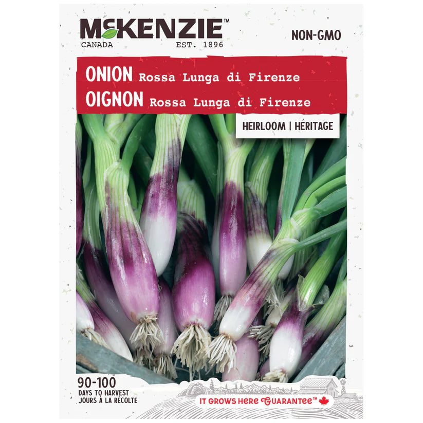 VEGETABLE SEEDS: ONION - ROSSA LUNGA DI FIRENZE