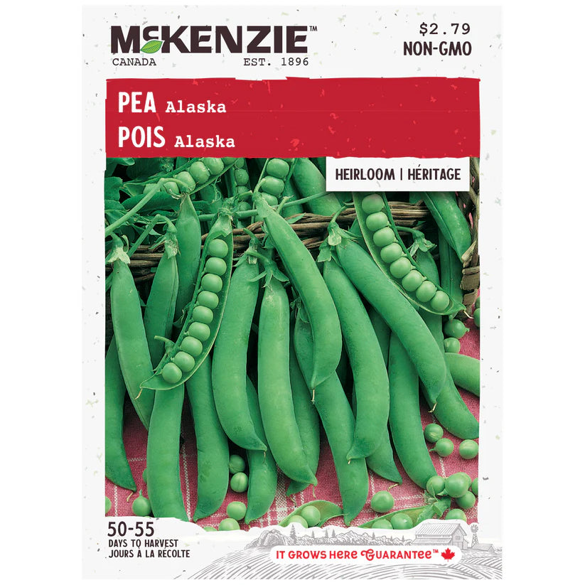 VEGETABLE SEEDS: PEA - ALASKA