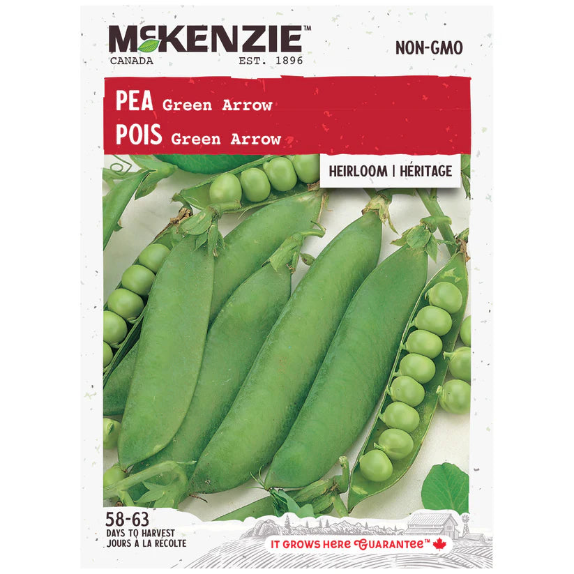 VEGETABLE SEEDS: PEA - GREEN ARROW