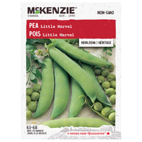 SEMENCES DE LEGUMES: POIS - LITTLE MARVEL