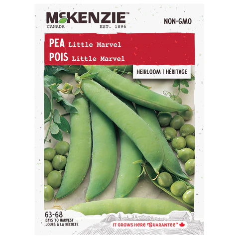 VEGETABLE SEEDS: PEA - LITTLE MARVEL
