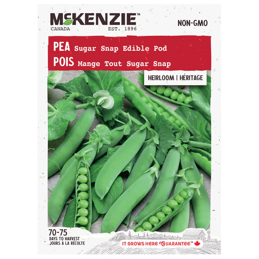 SEMENCES DE LEGUMES: POIS - SUGAR SNAP EDIBLE POD